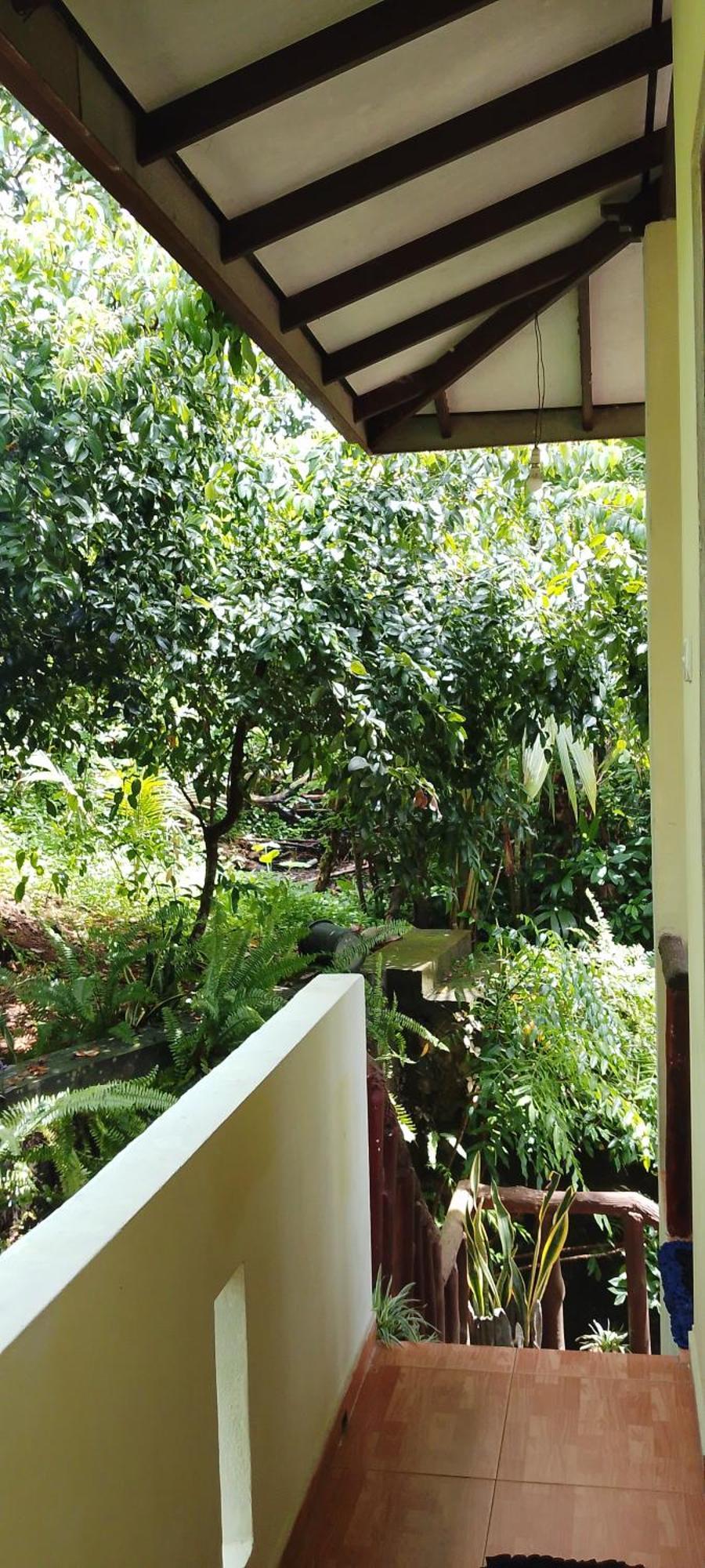 Ranga Villa ヒッカドゥワ 部屋 写真